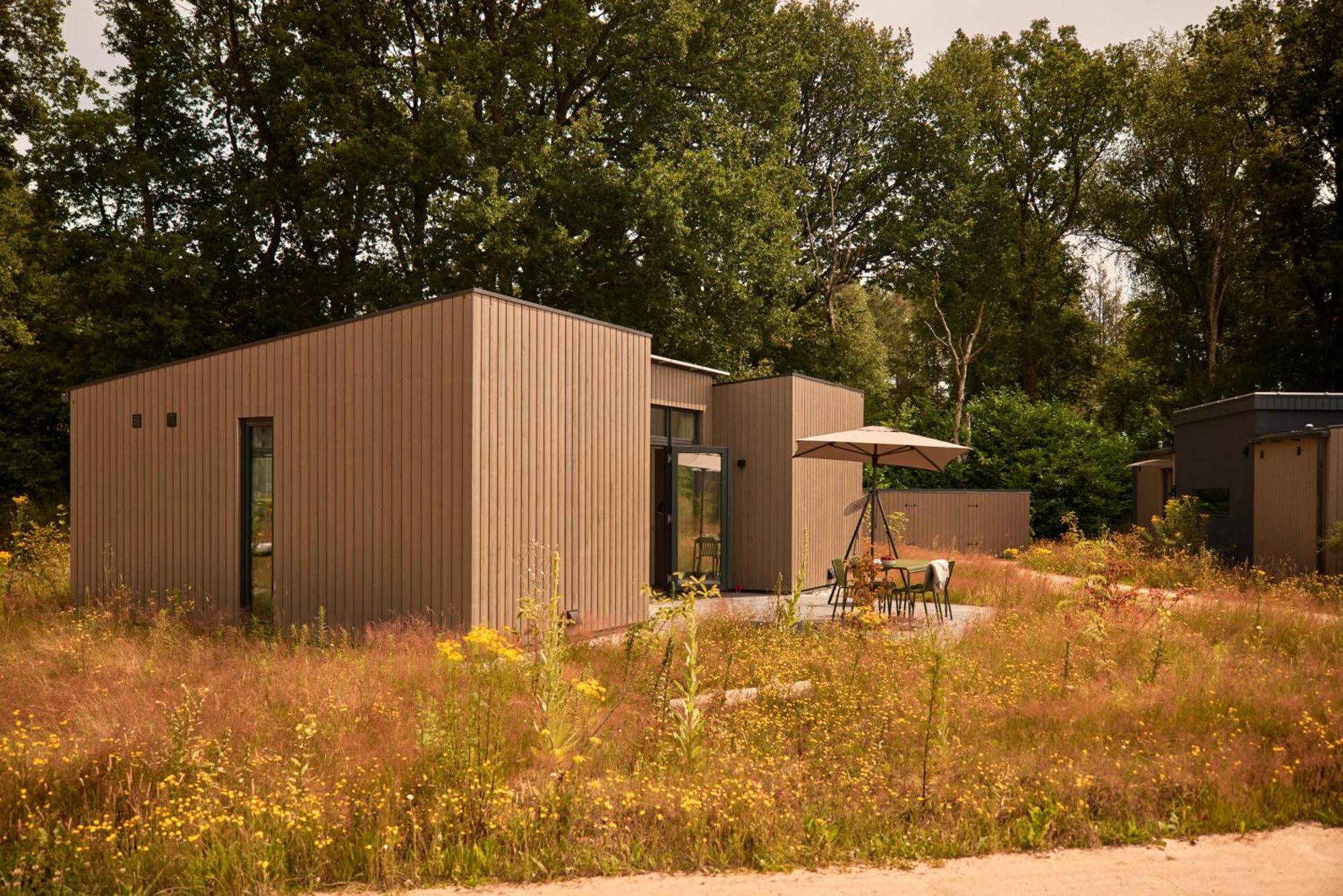 Villa Zeegser Duinen Exterior foto