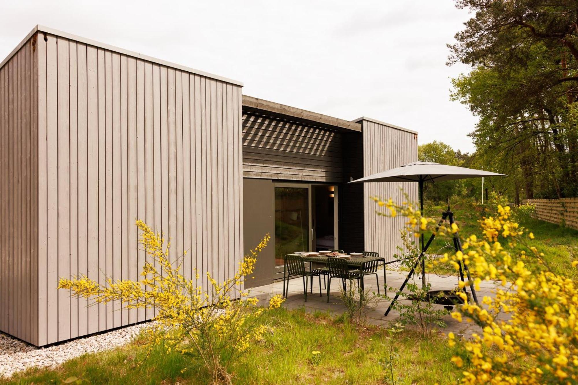 Villa Zeegser Duinen Exterior foto