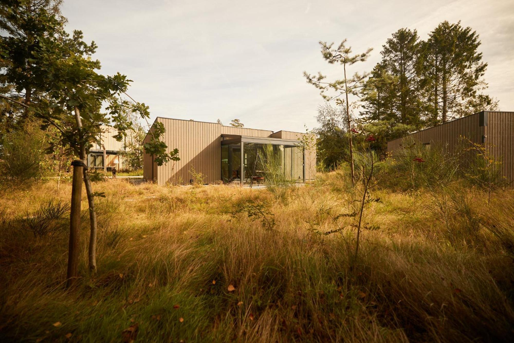 Villa Zeegser Duinen Exterior foto